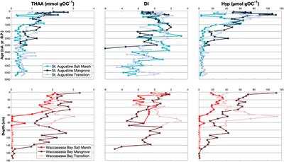Blue Carbon Soil Stock Development and Estimates Within Northern Florida Wetlands